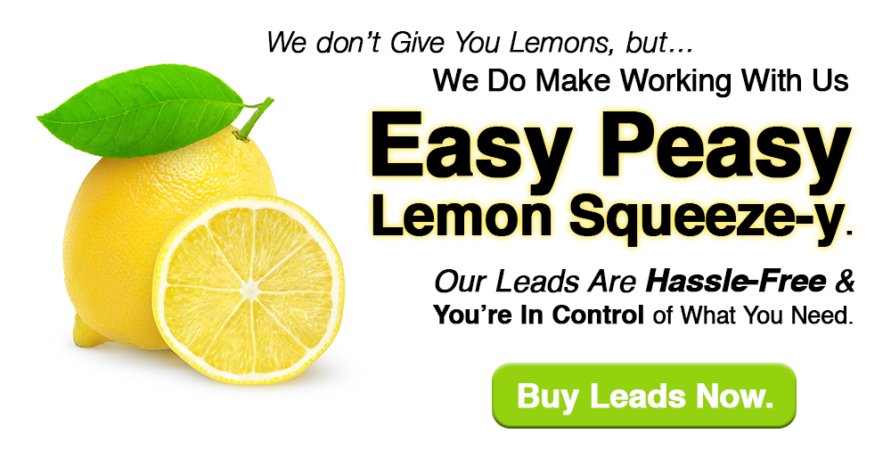We don't give you lemons but we do make working with us - Easy Peasy Lemon Squeezy - Our Leads Are Hassle-Free & You're In Control of What You Need.