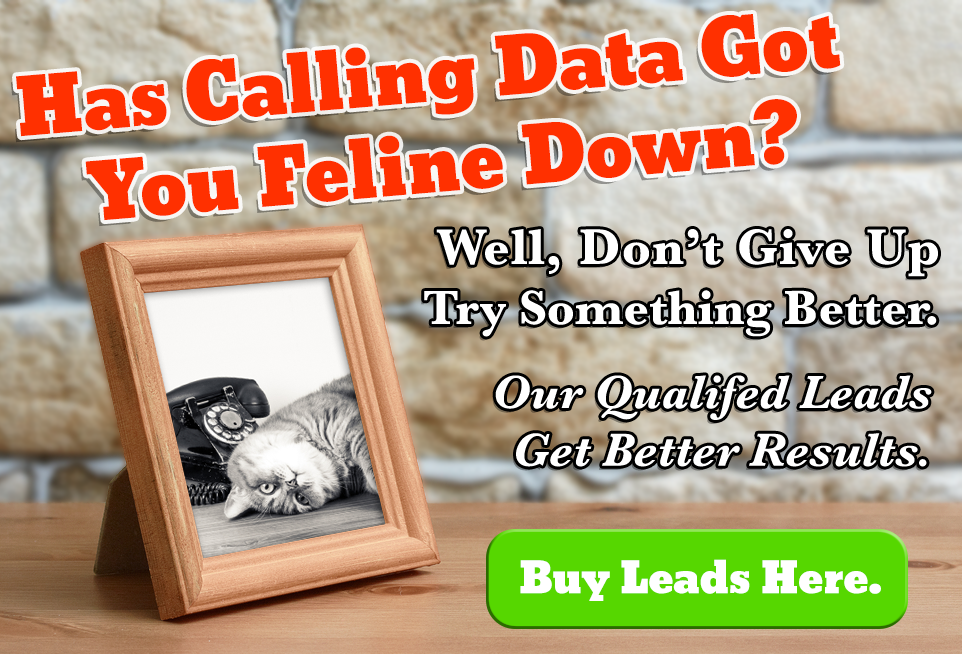 Has Calling Data Got You Feline Down?