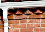 is your roof under attack - read more here
